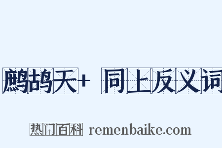 鹧鸪天+同上反义词是什么意思的图片